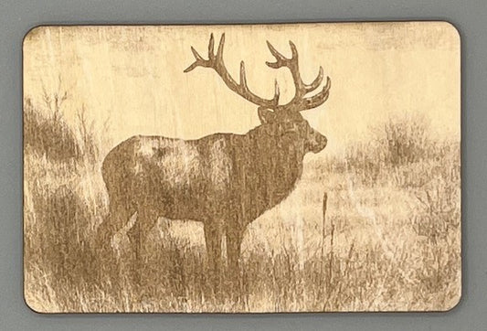 Bull Elk in the Meadow side view