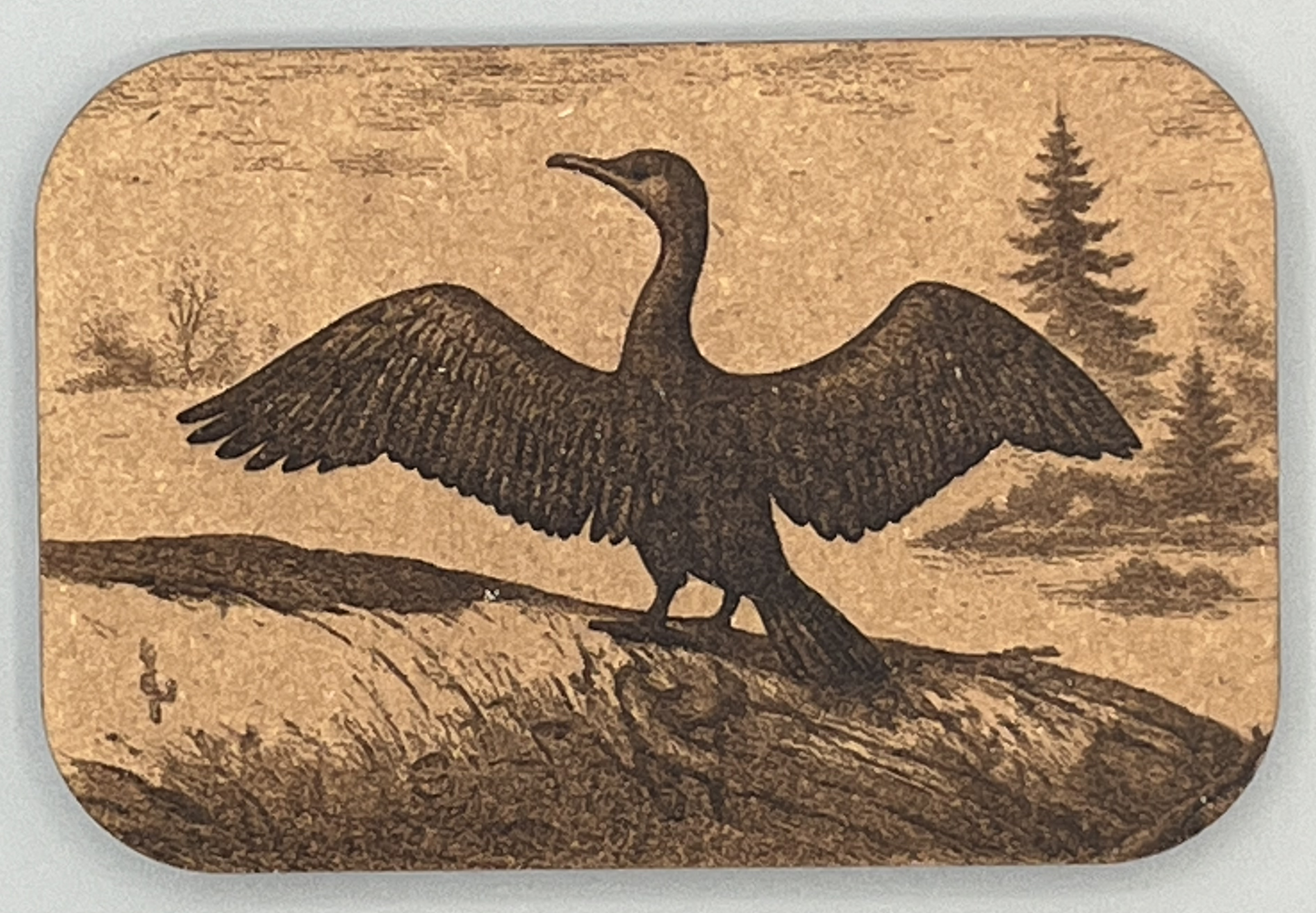 Laser Ready Cormorant Image