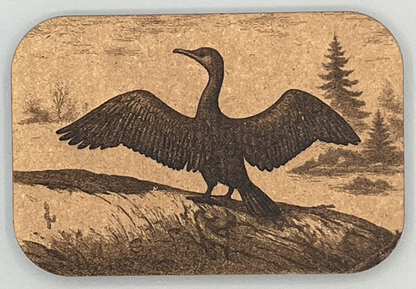 Laser Ready Cormorant Image