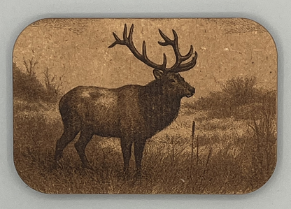 Bull Elk in the Meadow side view