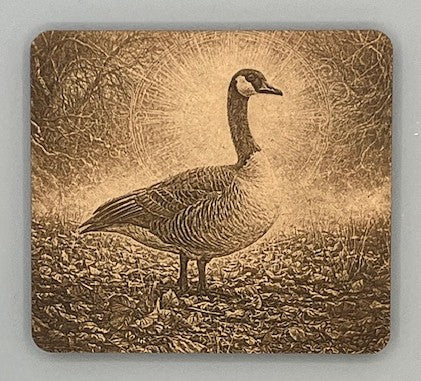 Lone Goose Standing amidst Autumn Leaves